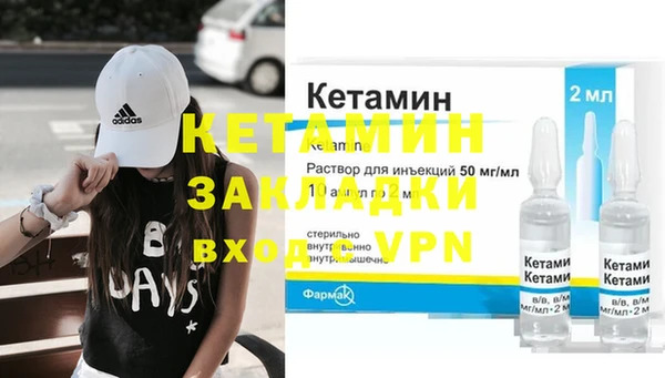 прущие грибы Вязьма