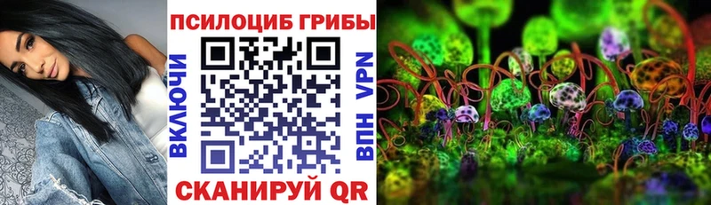 это Telegram  Черноголовка  Галлюциногенные грибы мицелий  где купить наркотик 