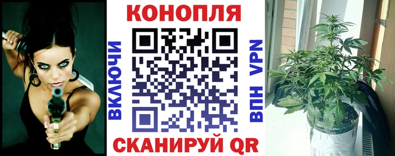 MEGA ссылка  магазин    Черноголовка  Канабис индика 